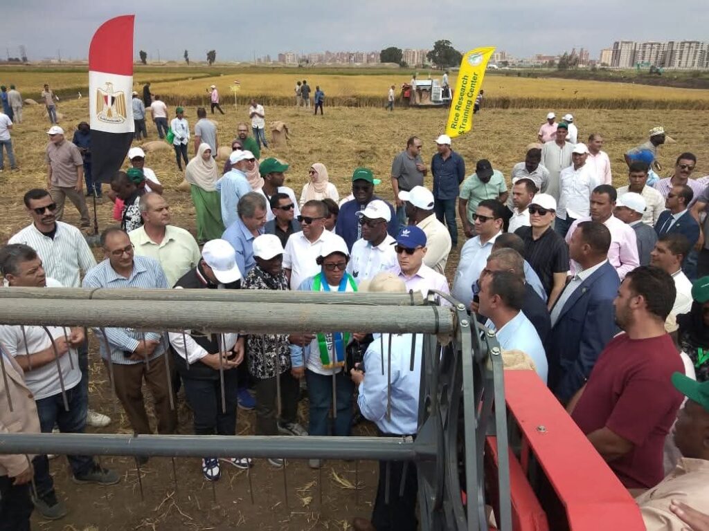 whatsapp image 2025 10 10 at 09.13.41 b08b9f37