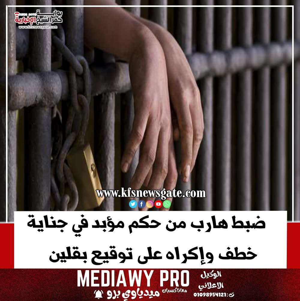 ضبط هارب من حكم بالسجن المؤبد بقلين بكفر الشيخ. whatsapp image 2025 10 17 at 07.07.16 669dea5c