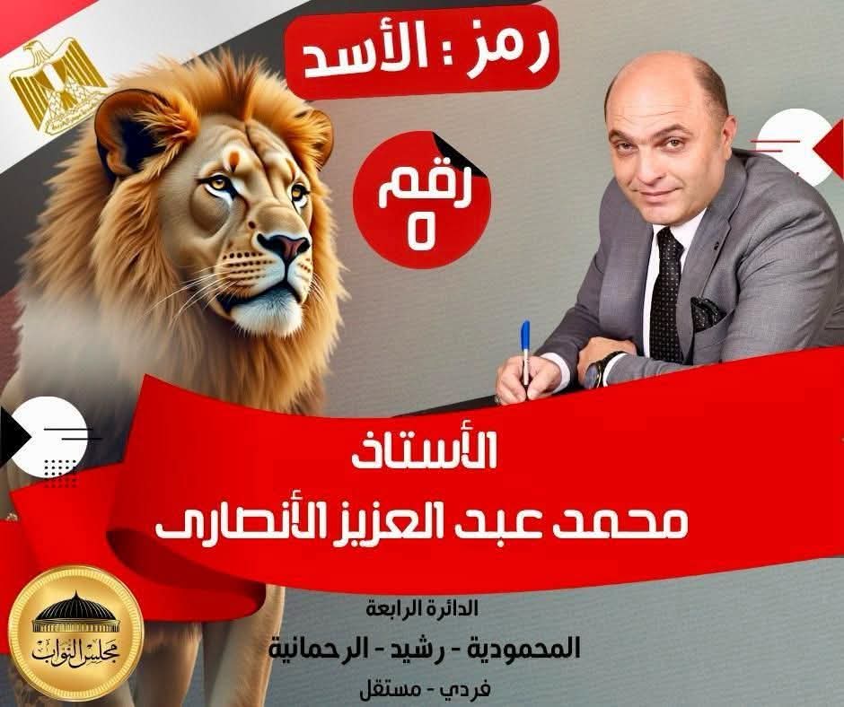 whatsapp image 2025 10 24 at 02.27.35 168e88f3