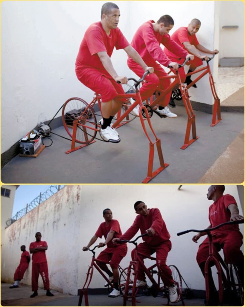 في جنوب البرازيل، وُلدت فكرة مجنونة ببساطتها، لكنها غيّرت معنى العقاب تمامًا. whatsapp image 2025 10 27 at 10.35.22 049023ab