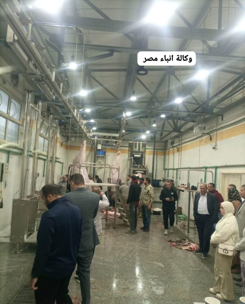 whatsapp image 2026 02 08 at 2.48.58 pm