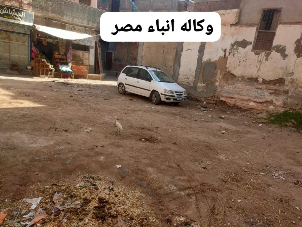 whatsapp image 2026 04 25 at 11.07.19 pm