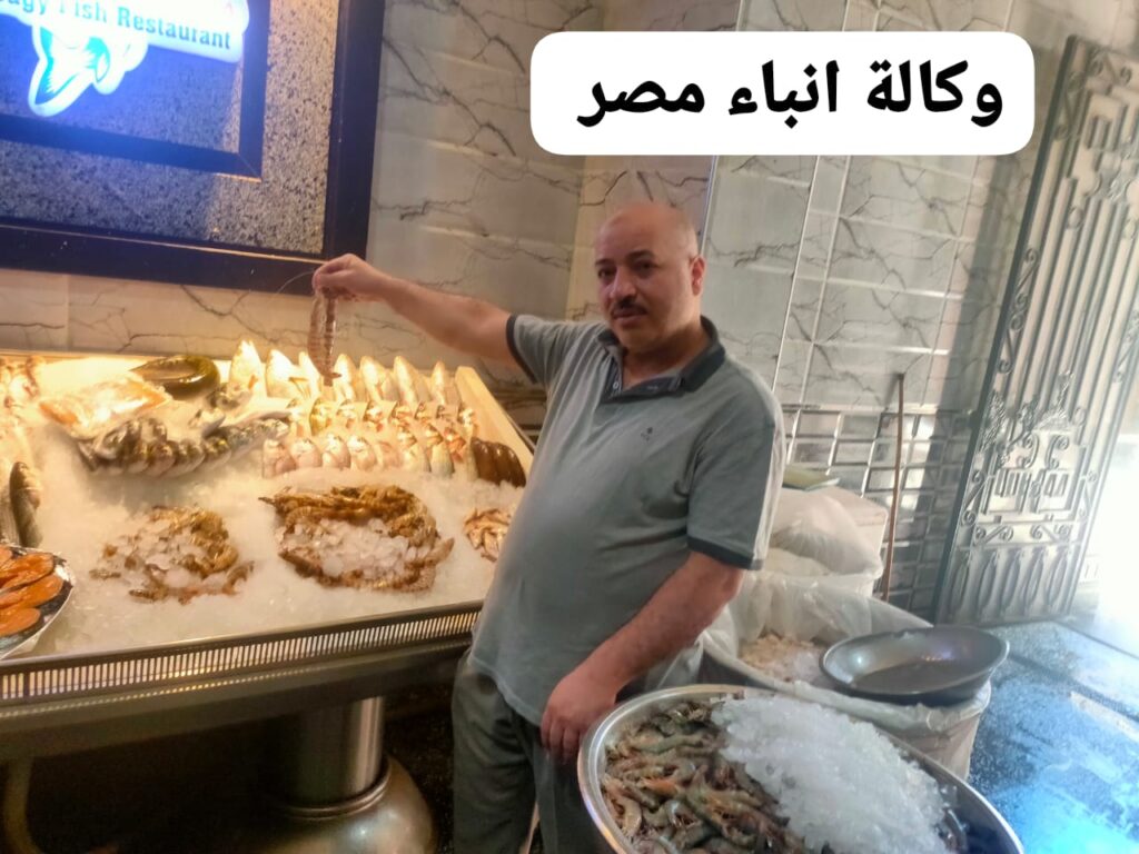 whatsapp image 2026 06 17 at 01.32.03
