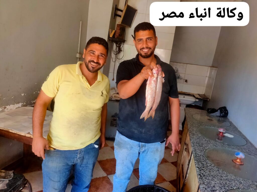محل ابو فايد للأسماك المملحة أول ش السوق بسد خميس سيدى سالم بكفرالشيخ قصة نجاح whatsapp image 2026 06 25 at 11.49.02 pm