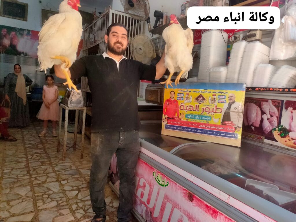 المعلم محروس دنون ومحمد غزال اصحاب محل طيور الهبة ش سوق السمك القبلى برشيد بحيرة. جعلوا من محلهم واجهة للجودة والمزاق الاصيل الذى يبحث عنة عشاق أكل الطيور whatsapp image 2026 06 27 at 8.59.10 pm