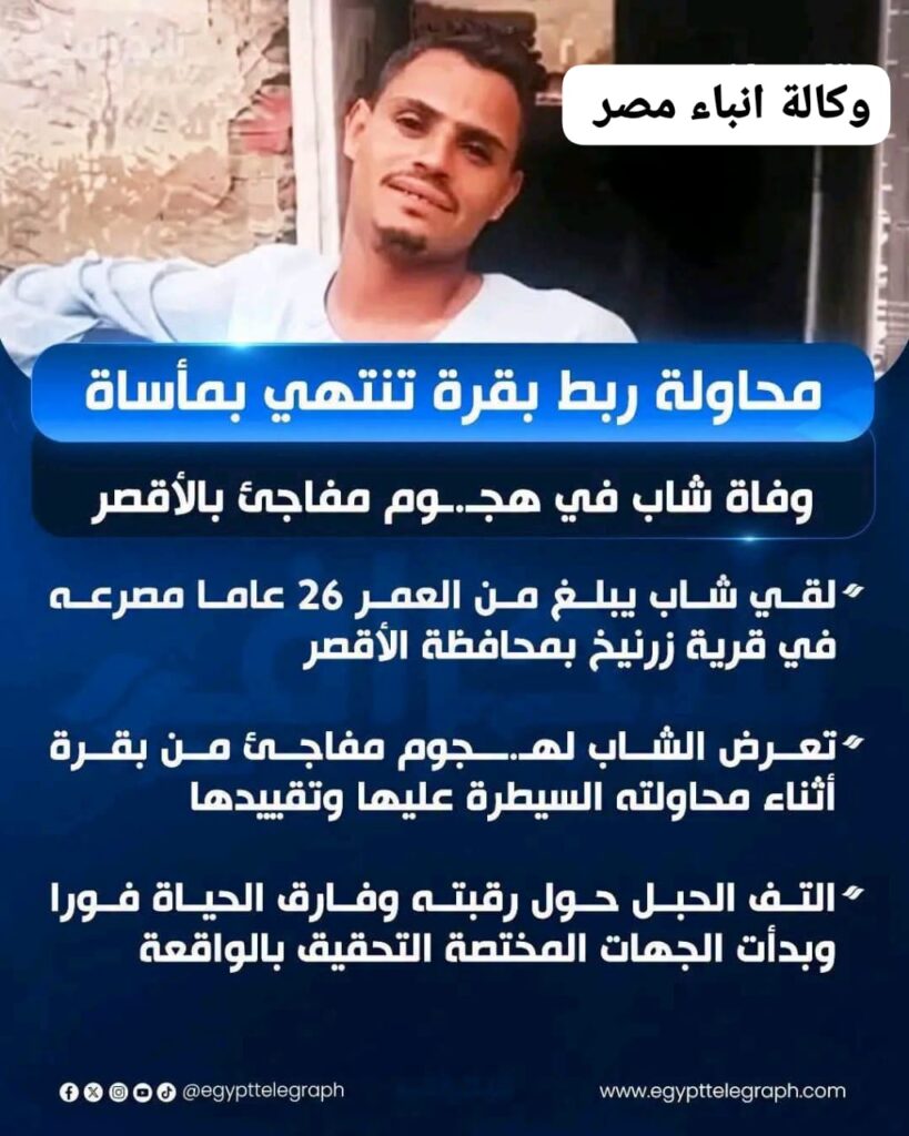 whatsapp image 2026 07 06 at 8.52.25 pmنن
