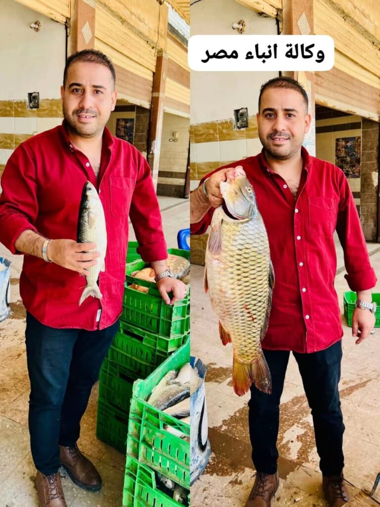 السعيد رمضان زعلوكأبن من ابناء قريه دمرو بسيدى سالم بكفر الشيخوتاجر في بورصه اسماك دمروواكبر موزع معتمد للأسماك في كل محافظات الصعيداسعار تنافسية وجودة عالية لأفضل انواع الأسماك سماحة وأمانة وثقة whatsapp image 2026 07 19 at 8.15.21 pmkkk