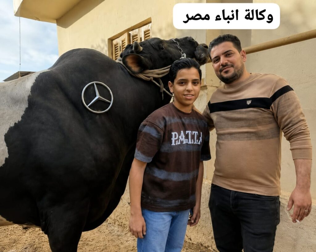 whatsapp image 2026 07 30 at 3.03.12 pm